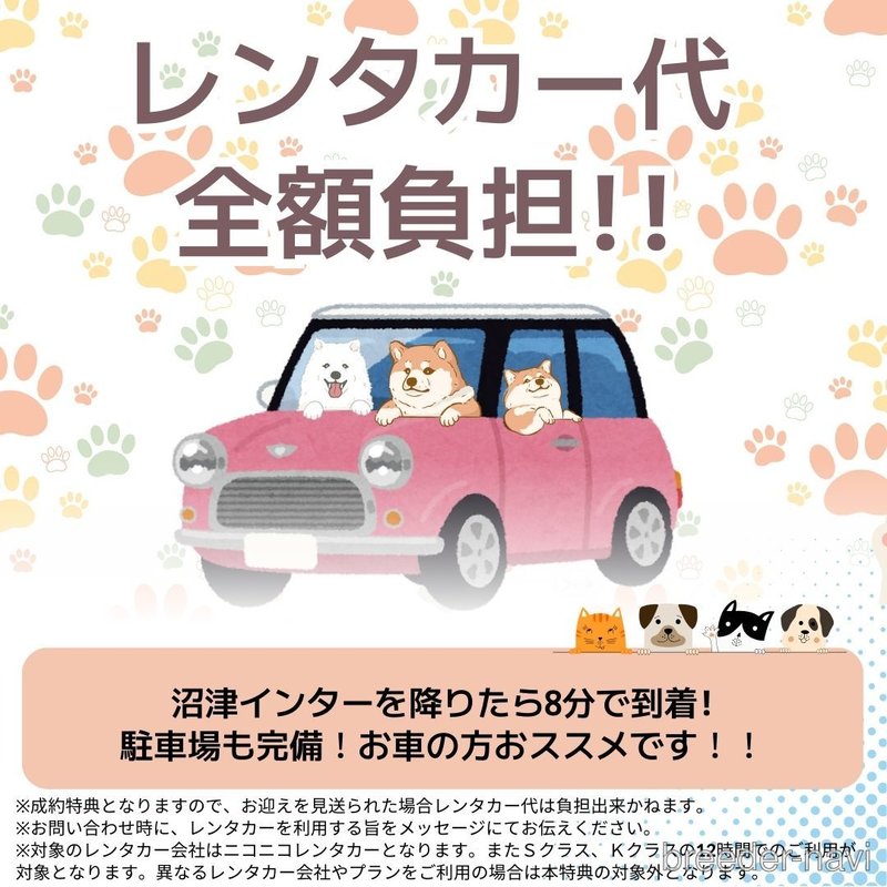 販売中の静岡県のミックス犬-397427の4枚目